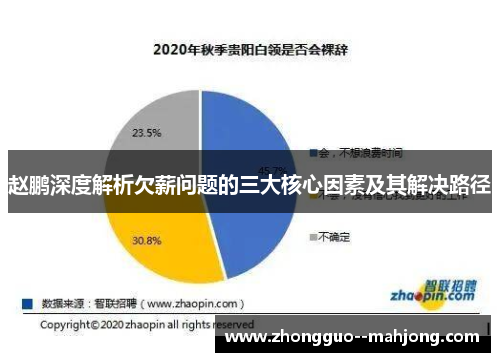 赵鹏深度解析欠薪问题的三大核心因素及其解决路径